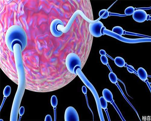 广州去供卵,【北京供卵的医院、泰国供卵医院、广州供卵试管成功率】分享四