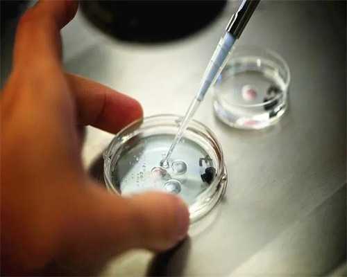 46岁还适合试管移植吗&供卵代怀机构,备孕知识常用小技巧-女性男性都适用