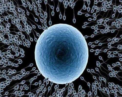 广州代孕公司/机构,广州供卵医院要选坤和助孕,广州借卵医院鑫坤和助孕