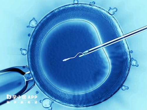 广州正规供卵代孕公司,国内三甲医院做供卵试管费用多少钱？做国内供卵试管