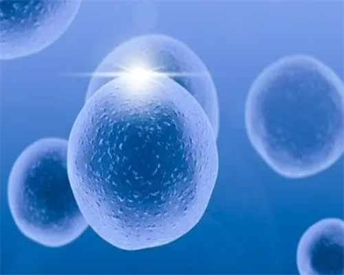 广州助孕,广州助孕认准喜果助孕放心