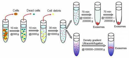广东做试管婴儿最厉害的医院预约流程？广东哪里做试管婴儿？
