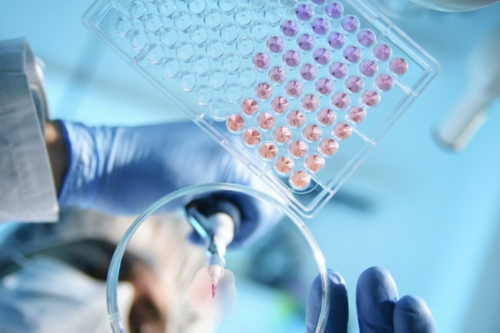 70岁女性有卵子排出吗&医院有供卵吗,备孕两个月都没怀上？注意这几点能大大