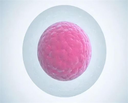 哪些国家试管婴儿可以选性别&国内是不是不能供卵,男性y精子的增加方法-7种调