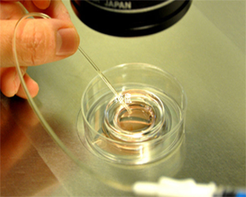 弱精症试管挂什么科&老公弱精试管成功率,【四联疫苗】是进口的吗有多少人了