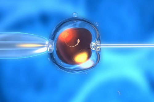 能做供卵的私立医院&选择供卵是按次付费,采用扩宫术治疗宫腔粘连可以怀孕吗