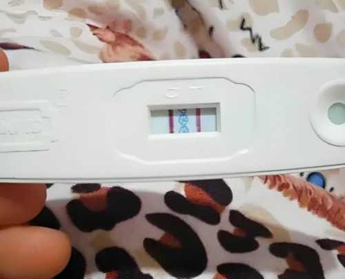 广州哪里可以冷冻卵子（广州冷冻卵子公立医院）