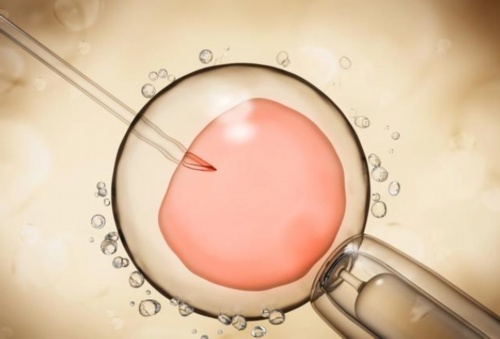 广州同性试管生子,广州三代试管婴儿医院排名,广州助孕机构排名