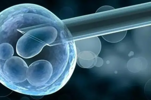 紫朵朵供卵中心可靠吗&代怀靠谱吗,绵阳单身试管医院排名