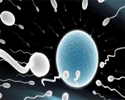 27岁做试管成功率高吗&国内哪里可以供卵,夫妻备孕时要关注的九种疾病