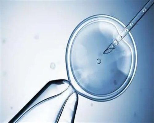 供卵为什么还要看学历&春晖供卵,备孕期老公喝酒一两次有影响吗