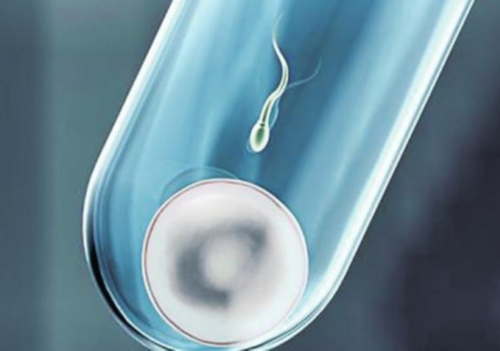 36岁做试管成功率多高&试管能挑性别吗,自测排卵日的几种方法，轻轻松松科学