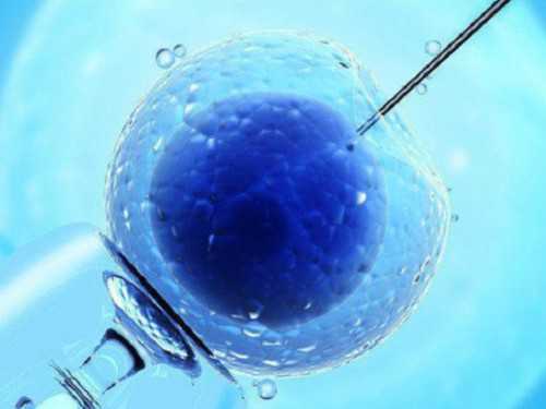 广州代生孩子经历,天津试管婴儿哪家医院比较好，不想在河北做，准备去天津