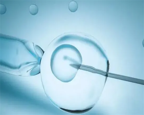 紫朵朵供卵费用及流程&招代孕孕母,为什么经期不能喝pola美白口服液 服用pola要