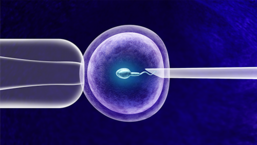 广州借卵生男孩儿,试管婴儿的过程复杂吗 广州中山二院试管