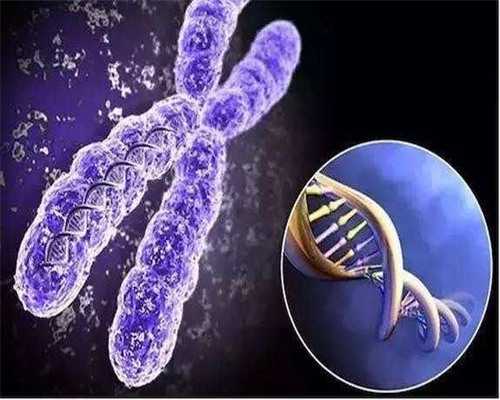 广州代怀网哪个好,广州南方医院做试管婴儿要多少钱？2026
年试管费用价格表