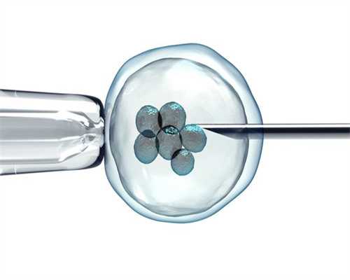 广州找供卵试管网,做广州试管婴儿期间可以工作吗？需不需要请假？_双胞胎