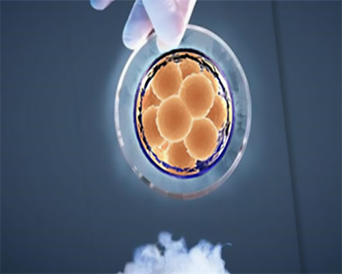 广州捐卵代怀孕价格,输卵管造影结果，帮我看下，医生看了之后直接建议试管