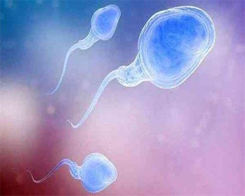 广州找代怀者,上海试管婴儿胚胎移植手术前后注意事项_供卵试管中介哪家好