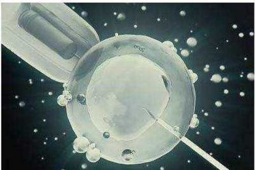 广州供卵试管借卵,广州第三代试管的费用(广州第三代供卵试管的费用)