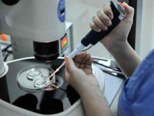 广州试管代生儿子,广州助孕公司-广州三代试管医院