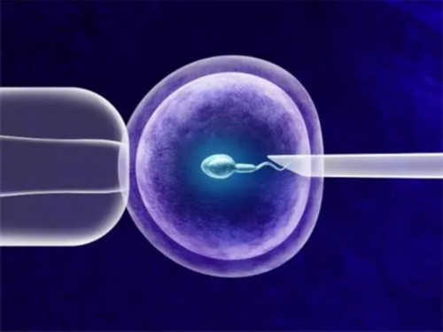 广州高龄供卵如何,北京供卵医院做试管婴儿费用多少？_上海正规供卵试管婴儿