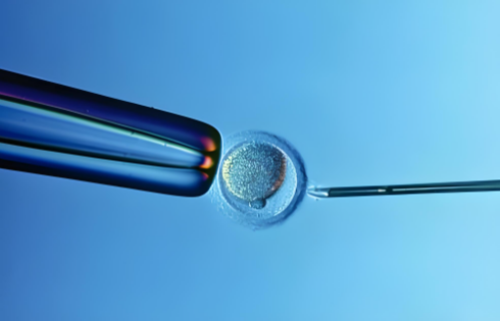 广州包性别代怀套餐,广州能做供卵试管公立的医院有哪些？附全国排名前十位