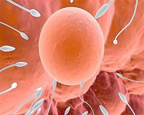 广州代怀电话,赴泰试管婴儿，男性HIV生育健康宝宝流程解析_西安哪里做供卵试