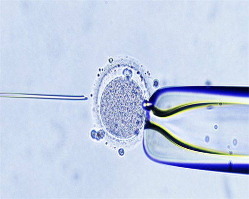 广州哪里三代供卵试管,广州供卵试管公立医院,广州供卵被骗经历