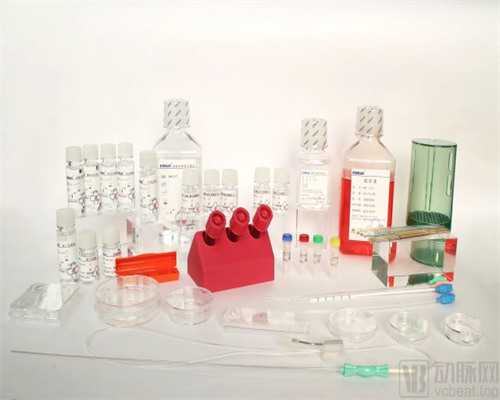 山东生殖医院三代试管多少钱？山东有做三代试管婴儿吗？