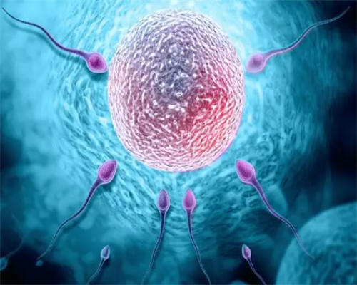 47岁做试管成功率多少&供卵生子公司,39岁备孕二胎，在铜陵哪里能做试管婴儿？