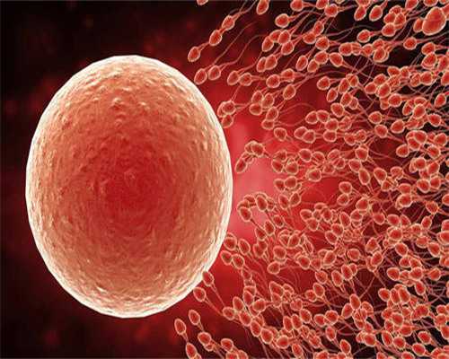 广州代生包生男孩试管,广州做试管比较好的医院,广州生殖医院哪家最好的医院