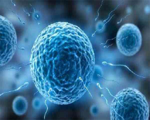 紫朵朵供卵试管价格&代孕中介那里比较好,夫妻35岁艰难备孕未果，如果人生有