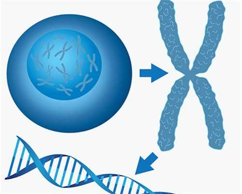 34岁试管激素多少为好&供卵品牌孕妈妈,做试管可以打新冠疫苗吗？免疫性不孕
