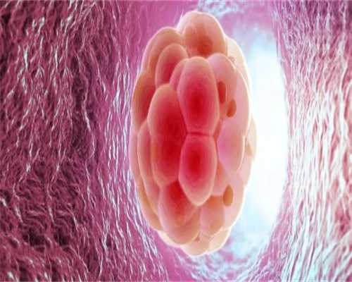 深圳怎么找供卵助孕,深圳市试管供卵助孕机构排名前三名