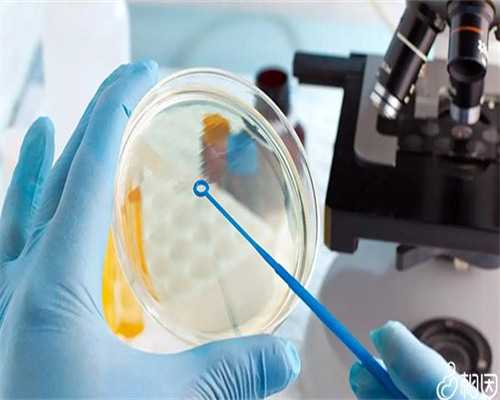 广州专业代孕网,广州私立做试管有哪些_广州哪有私人医院做试管的