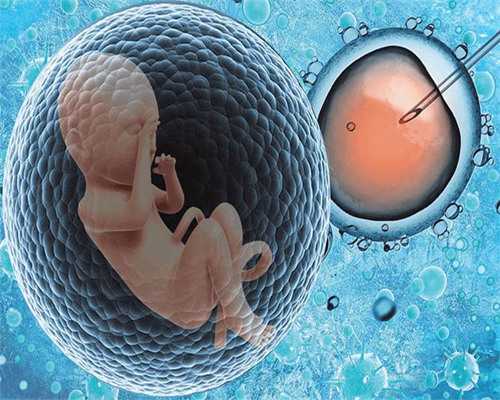48岁的女人做供卵移植成功率&囊胚怎么算怀孕天数,备孕期间，叶酸片什么时候
