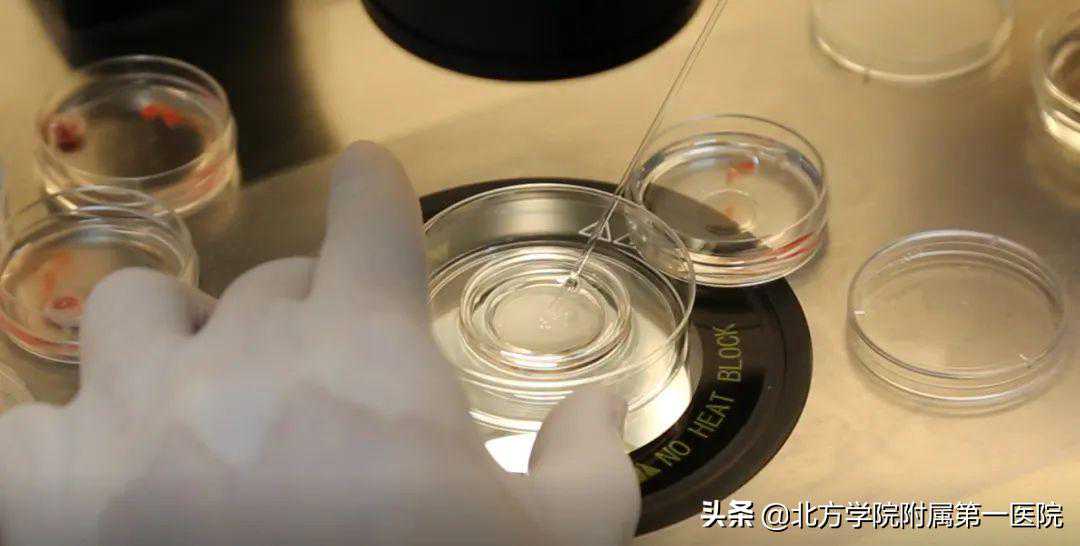 「科技兴院」张家口市生殖与遗传重点实验室